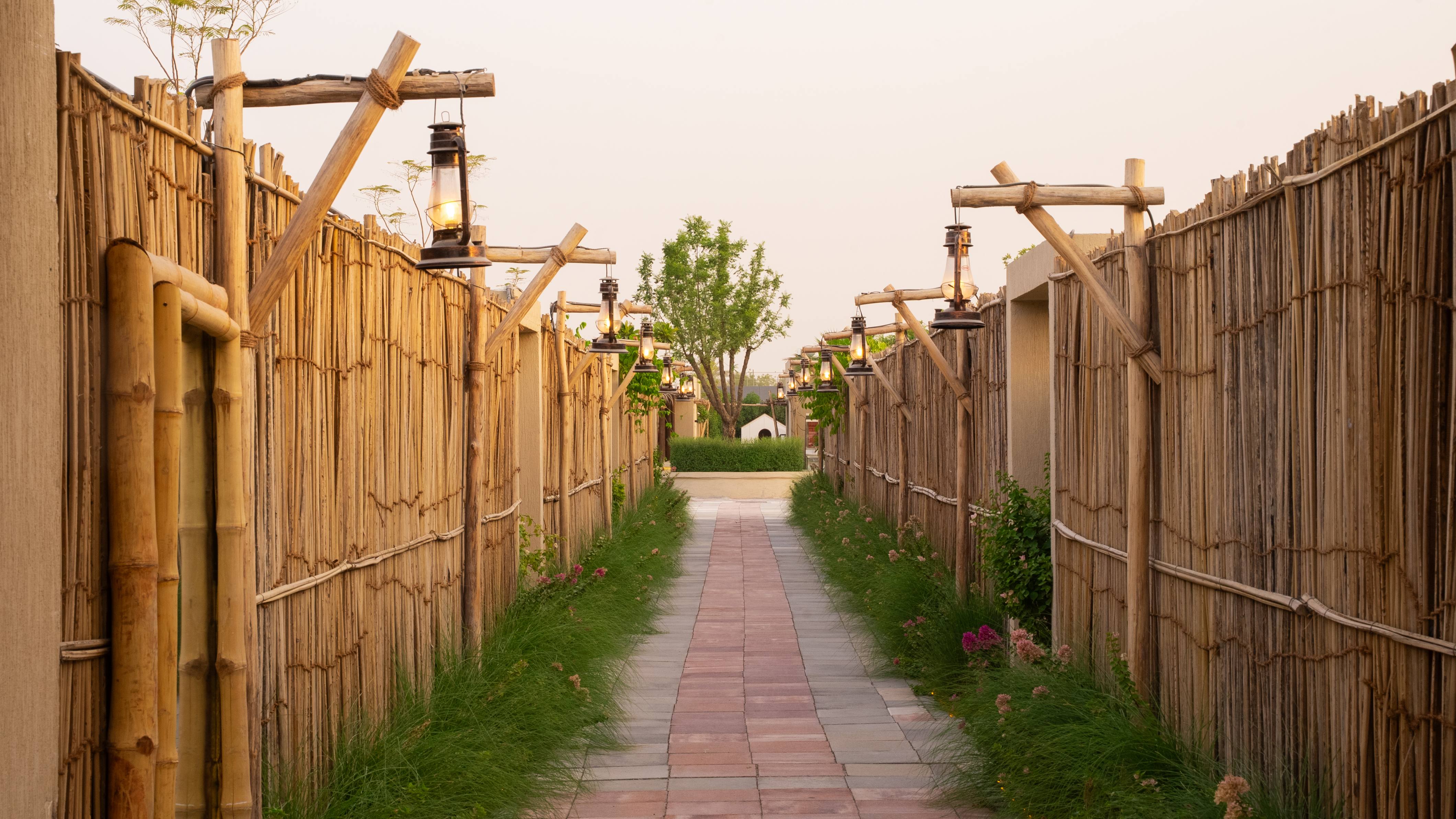 Summer in Levant Park