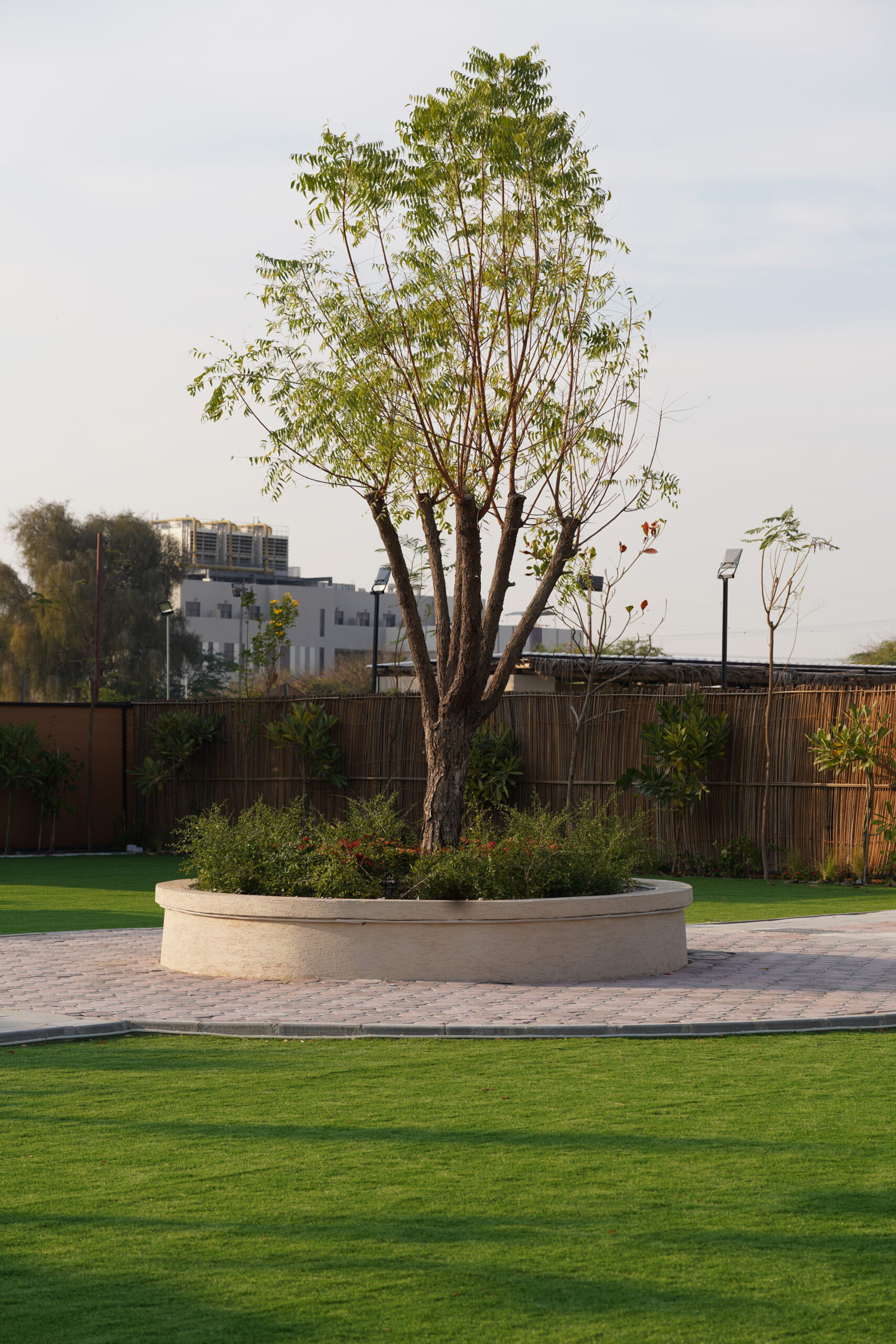 A tranquil outdoor scene at Levant Park, featuring families, friends, and corporate teams engaging in nature-focused activities, symbolizing connection, privacy, and sustainability.